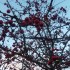 NATURE DE SAISON