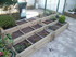 JARDIN , JARDINER , JARDINIER 