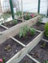 JARDIN , JARDINER , JARDINIER 