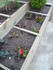 JARDIN , JARDINER , JARDINIER 