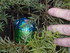 CHASSE AUX OEUFS