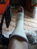 LA CAUSSE DE MON ABSENCE