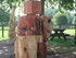 SCULPTURES A LA TRONCONNEUSE