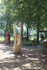 SCULPTURES A LA TRONCONNEUSE