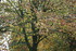 COULEURS NATURE