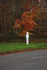 FEUILLAGES D'AUTOMNE (acte 2)