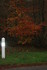 FEUILLAGES D'AUTOMNE (acte 2)