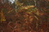 VIBRATIONS D'AUTOMNE (acte 3)