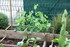 LE JARDIN