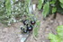 QUELQUES FRUITS/LEGUMES du jar