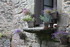 ROCHEFORT EN TERRE  