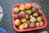 COMPOTE DE POMMES MAISON