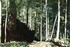 LA NATURE COMME ON LA VIE
