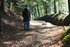 LA NATURE COMME ON LA VIE