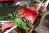 ART FLORAL