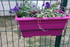 JARDINNIERES D'HIVER