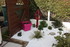 JARDIN ZEN