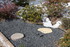 JARDIN ZEN