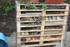 HOTEL POUR INSECTES et FLEURS 
