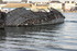 EPAVES DE BATEAUX
