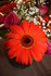 FLEURS DE BOUQUETS DU DIMANCHE