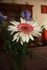 FLEURS DE BOUQUETS DU DIMANCHE