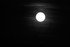GRANDE LUNE DU 14/11/16