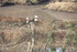 OISEAUX DE L' ETANG DU PLESSIS