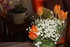 QUELQUES FLEURS