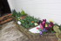 JARDIN FLEURI