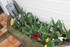 JARDIN FLEURI