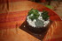 COMPOSITIONS FLORALES