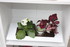 COMPOSITIONS FLORALES
