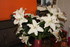 BOUQUETS DE LYS et GLAIEULS DU