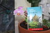 LECTURE une passion