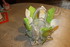 OBJETS TRAVAUX MANUELS