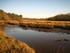 MARAIS DU PLESSIS