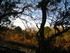 MARAIS DU PLESSIS