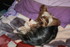 FAISONS LA SIESTE