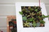 CHEVALET POUR MES PLANTES GRAS
