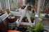 CHEVALET POUR MES PLANTES GRAS