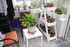 CHEVALET POUR MES PLANTES GRAS