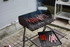 PREMIERES GRILLADES
