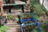REPLANTATIONS des plants d'oei