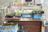 REPLANTATIONS des plants d'oei