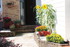 NOUVELLES FLEURS AU JARDIN
