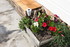 NOUVELLES FLEURS AU JARDIN