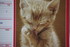 PHOTOS DE CALENDRIER