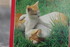 PHOTOS DE CALENDRIER