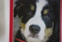 PHOTOS DE CALENDRIER